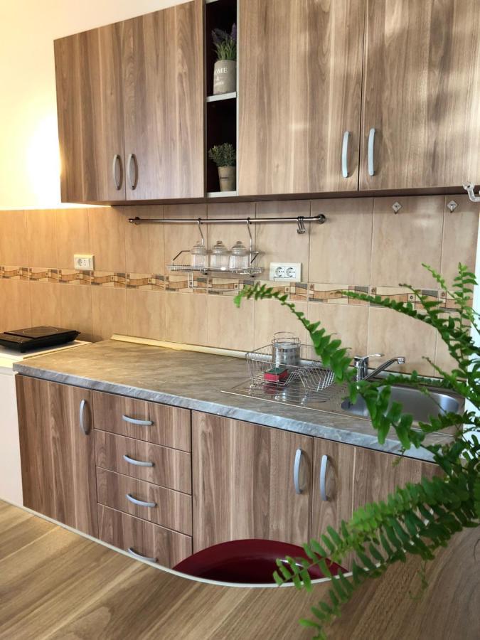 Flora Apartment - Near The Sea Susanj ภายนอก รูปภาพ